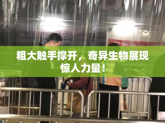 粗大触手撑开，奇异生物展现惊人力量！