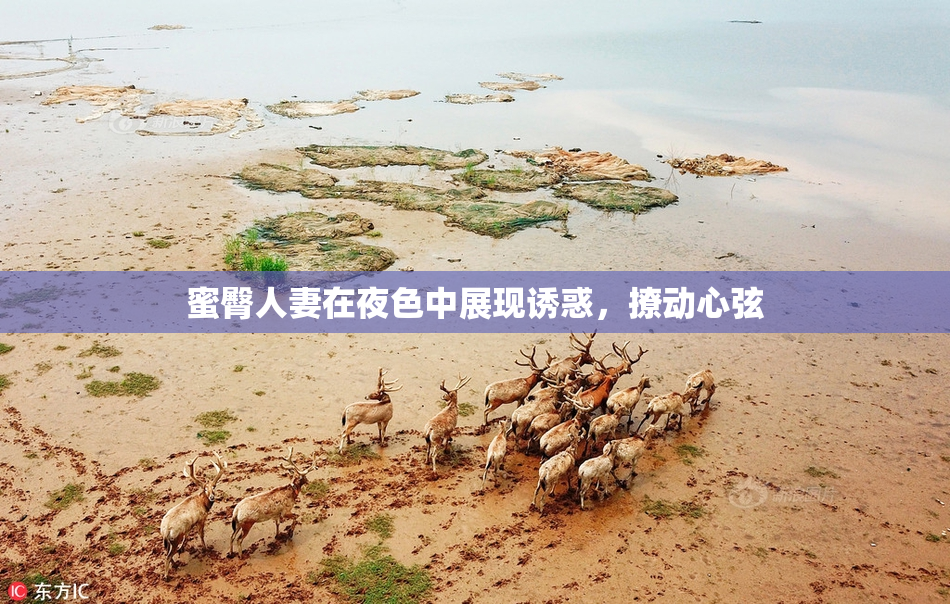 蜜臀人妻在夜色中展现诱惑，撩动心弦
