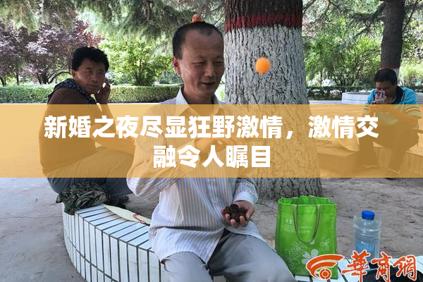 新婚之夜尽显狂野激情，激情交融令人瞩目