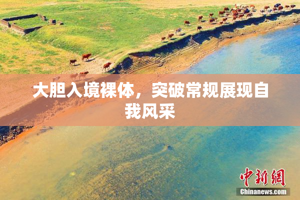 大胆入境裸体，突破常规展现自我风采
