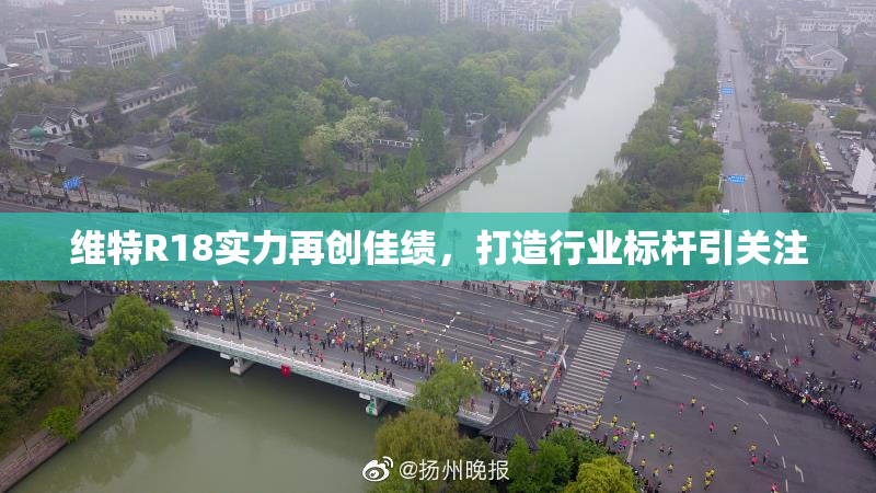 维特R18实力再创佳绩，打造行业标杆引关注