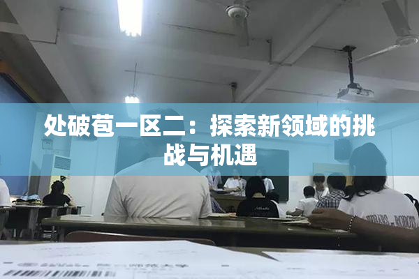 处破苞一区二：探索新领域的挑战与机遇