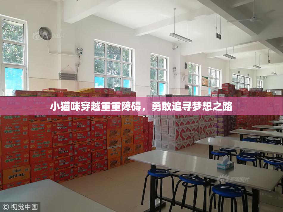 小猫咪穿越重重障碍，勇敢追寻梦想之路