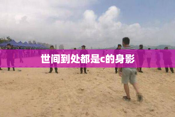 世间到处都是c的身影