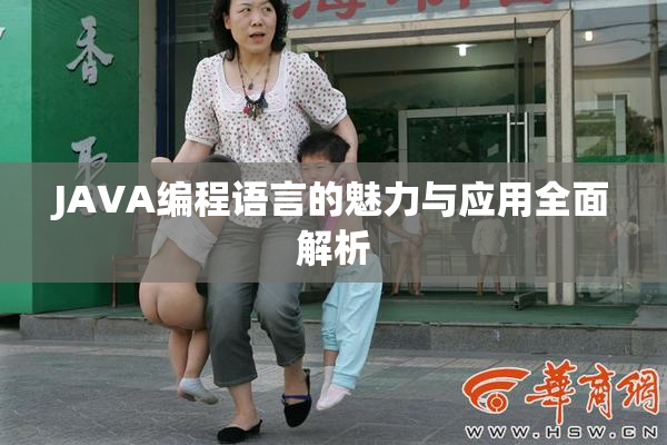 JAVA编程语言的魅力与应用全面解析