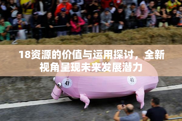 18资源的价值与运用探讨，全新视角呈现未来发展潜力