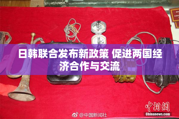 日韩联合发布新政策 促进两国经济合作与交流