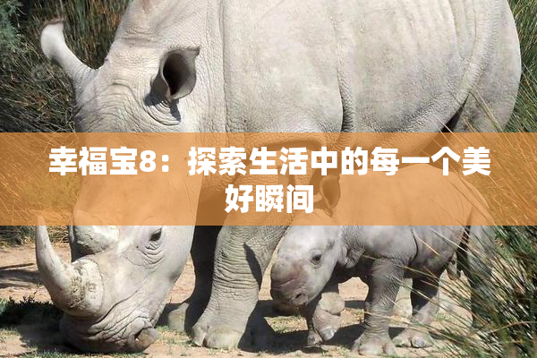 幸福宝8：探索生活中的每一个美好瞬间