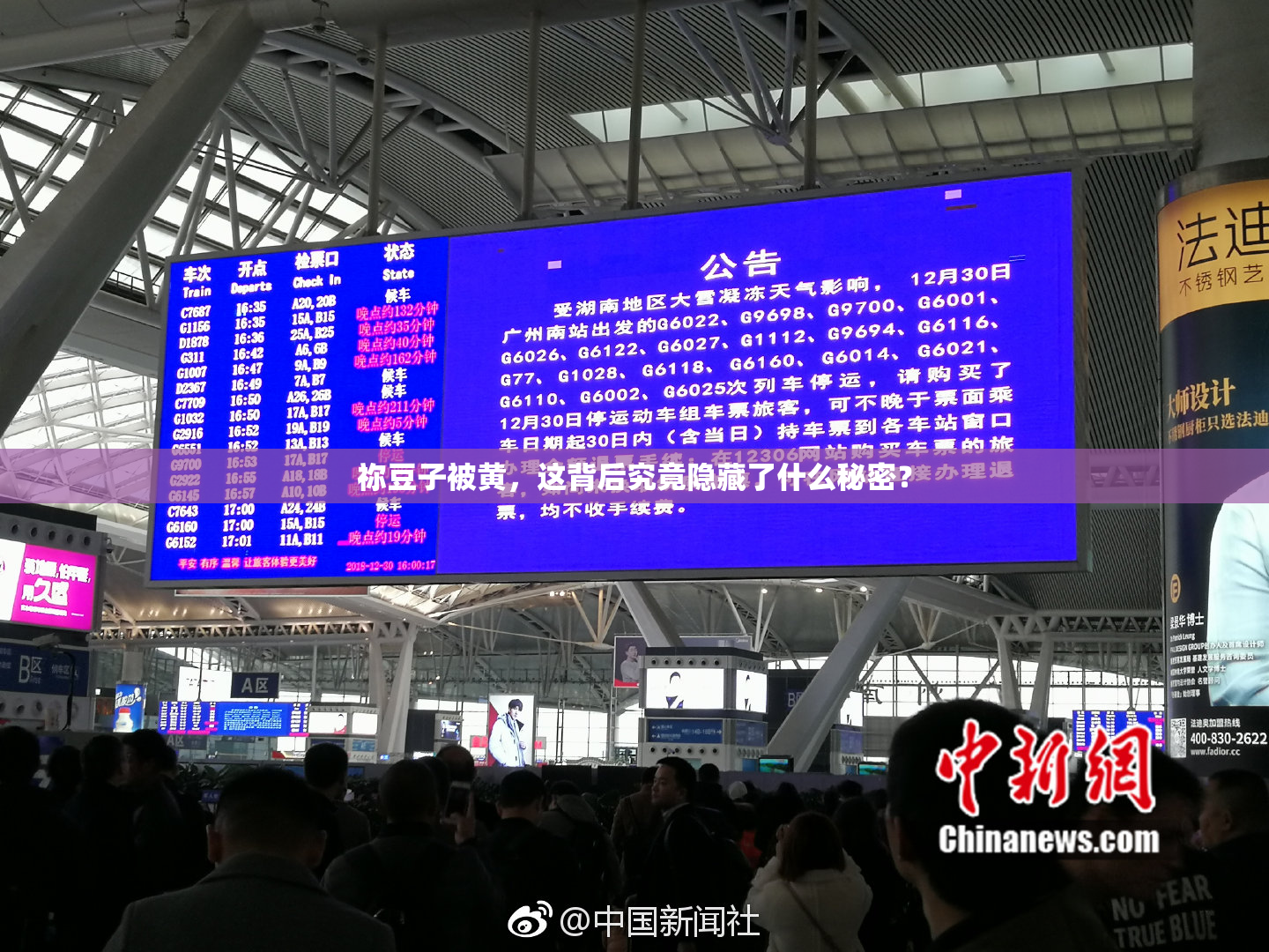 祢豆子被黄，这背后究竟隐藏了什么秘密？