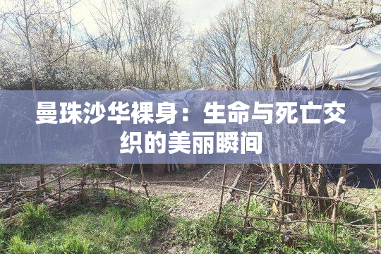 曼珠沙华裸身：生命与死亡交织的美丽瞬间