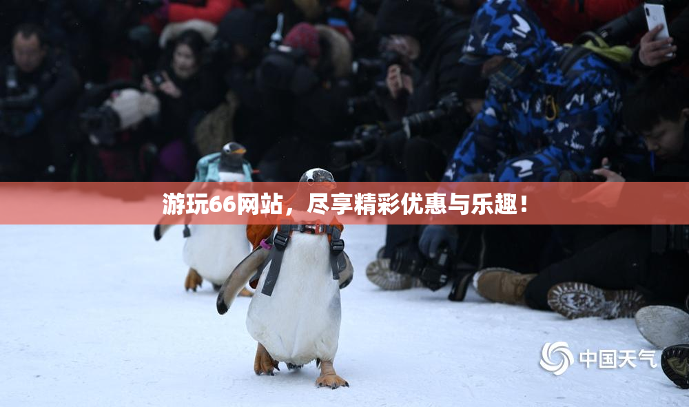 游玩66网站，尽享精彩优惠与乐趣！