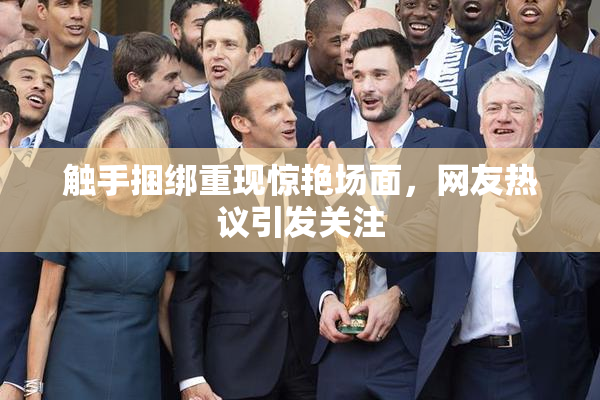 触手捆绑重现惊艳场面，网友热议引发关注