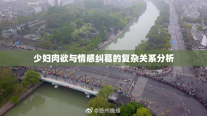 少妇肉欲与情感纠葛的复杂关系分析