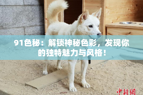 91色秘：解锁神秘色彩，发现你的独特魅力与风格！