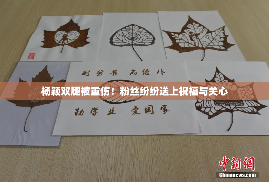 杨颖双腿被重伤！粉丝纷纷送上祝福与关心