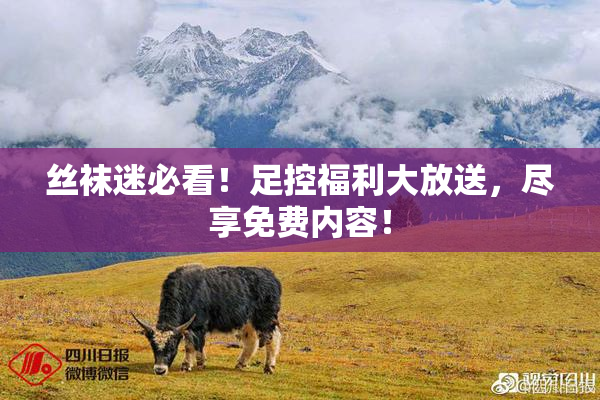 丝袜迷必看！足控福利大放送，尽享免费内容！