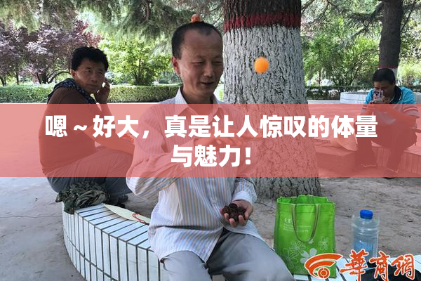 嗯～好大，真是让人惊叹的体量与魅力！