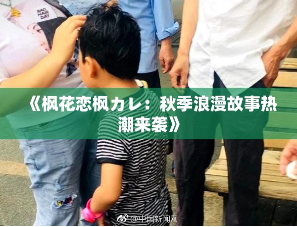 《枫花恋枫カレ：秋季浪漫故事热潮来袭》