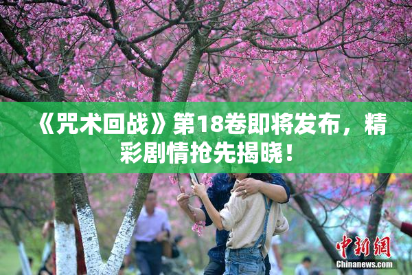 《咒术回战》第18卷即将发布，精彩剧情抢先揭晓！