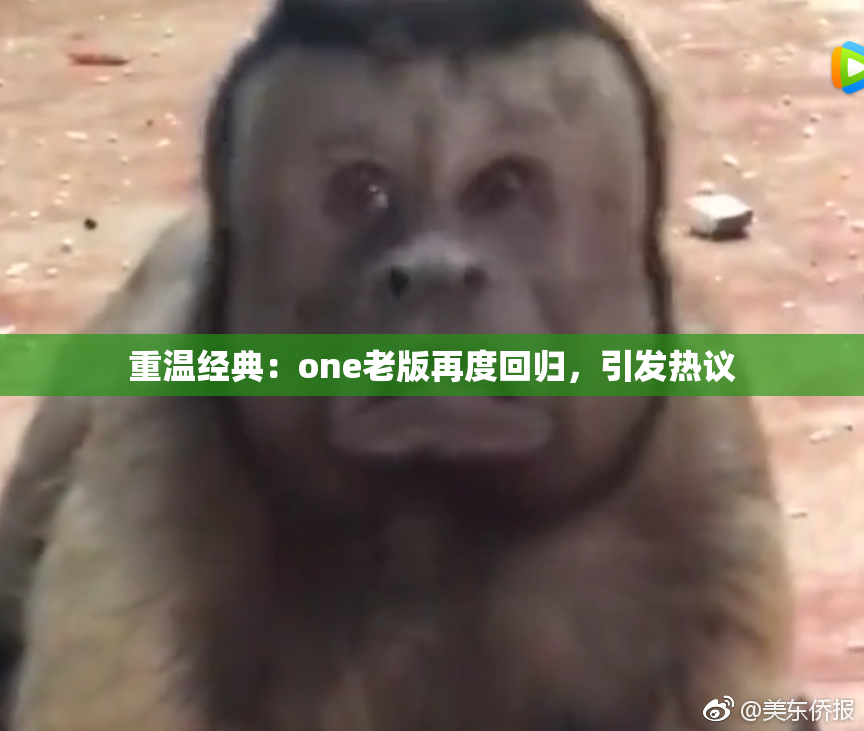 重温经典：one老版再度回归，引发热议