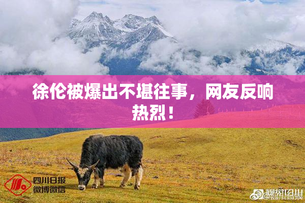 徐伦被爆出不堪往事，网友反响热烈！