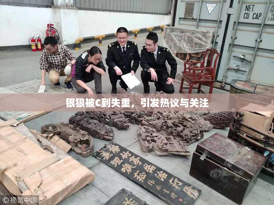 银狼被C到失重，引发热议与关注