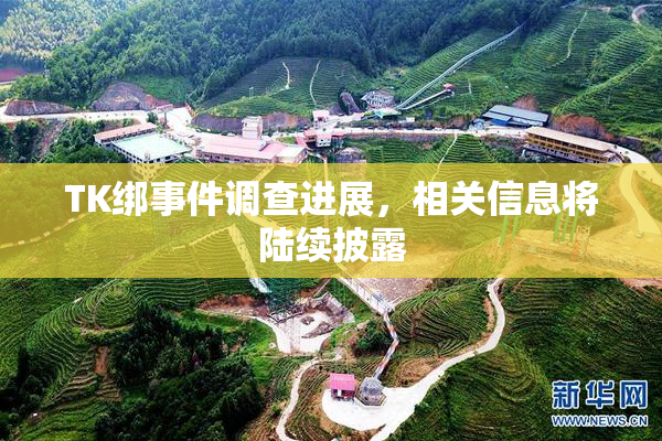 TK绑事件调查进展，相关信息将陆续披露