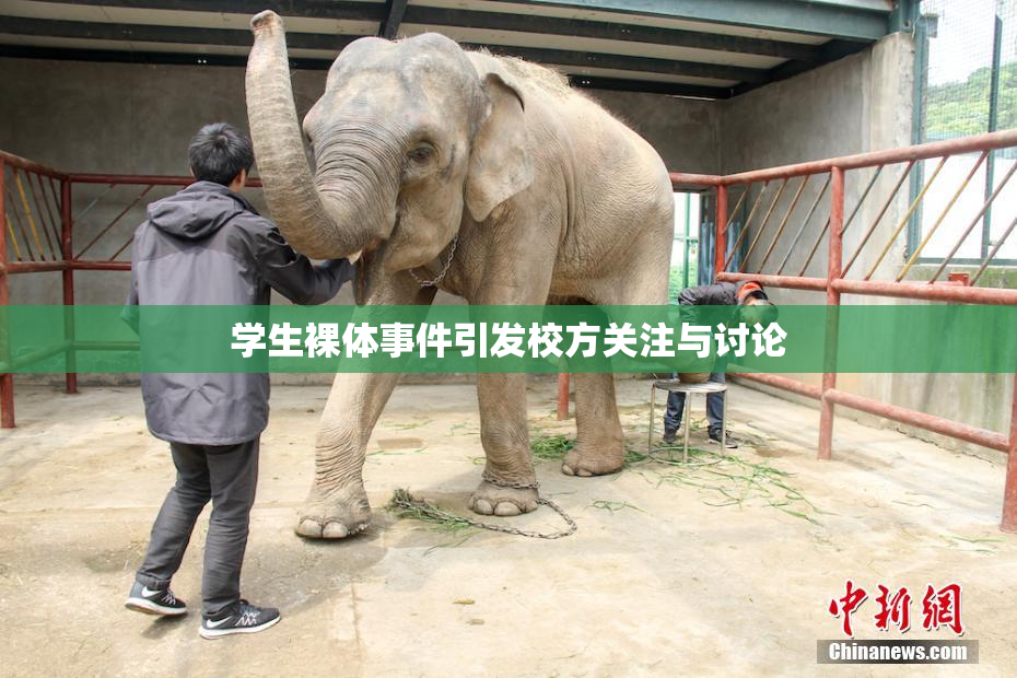 学生裸体事件引发校方关注与讨论