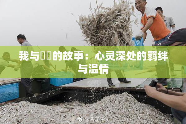 我与妺妺的故事：心灵深处的羁绊与温情