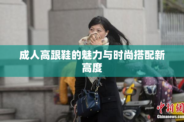 成人高跟鞋的魅力与时尚搭配新高度