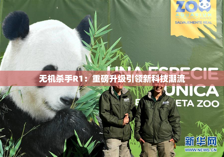 无机杀手R1：重磅升级引领新科技潮流