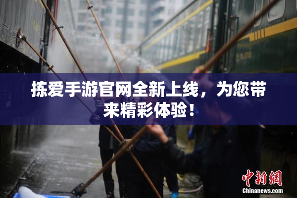 拣爱手游官网全新上线，为您带来精彩体验！