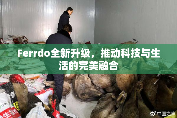 Ferrdo全新升级，推动科技与生活的完美融合