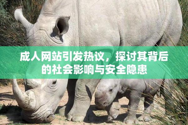 成人网站引发热议，探讨其背后的社会影响与安全隐患