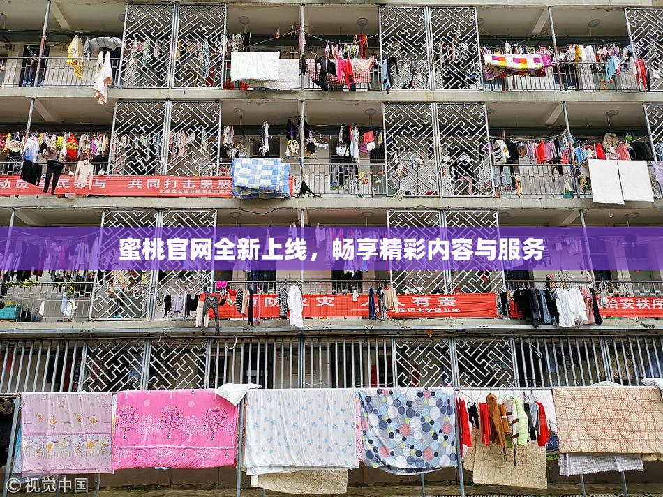 蜜桃官网全新上线，畅享精彩内容与服务