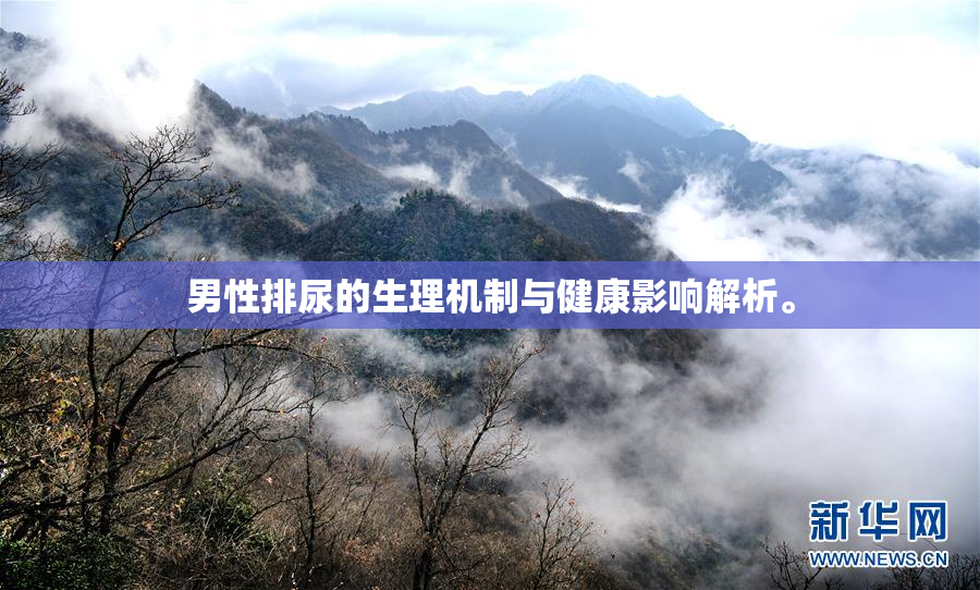 男性排尿的生理机制与健康影响解析。