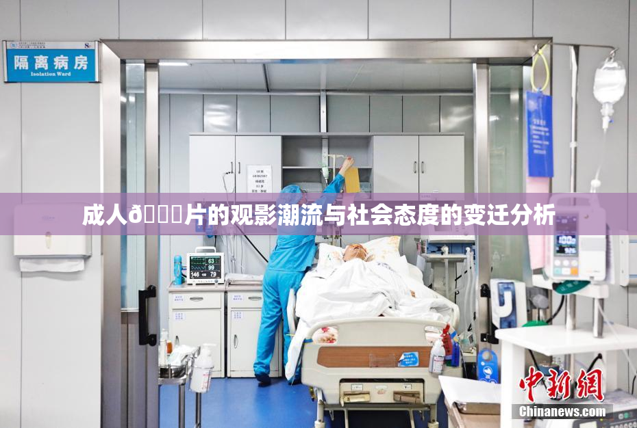 成人🔞片的观影潮流与社会态度的变迁分析