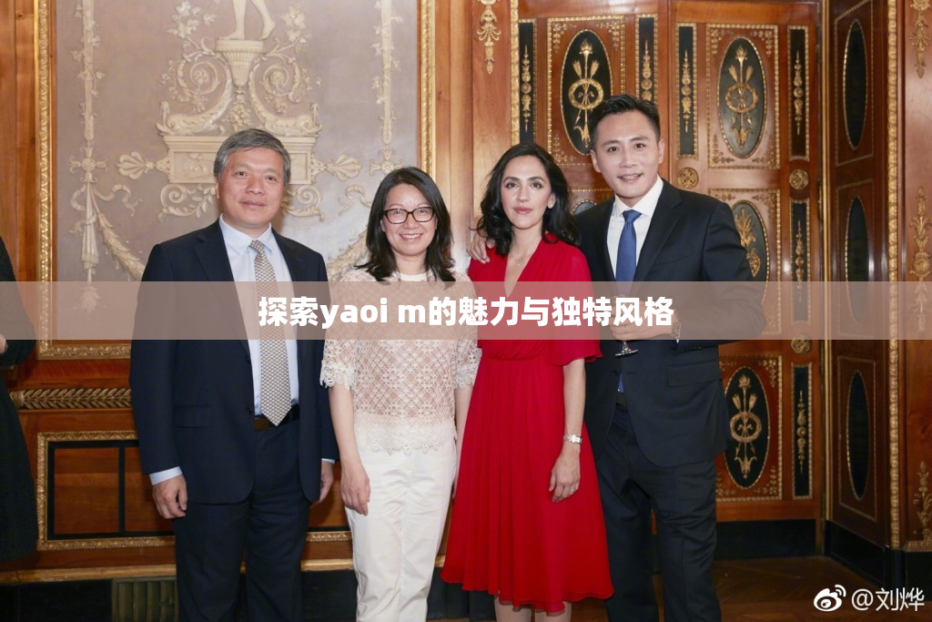 探索yaoi m的魅力与独特风格