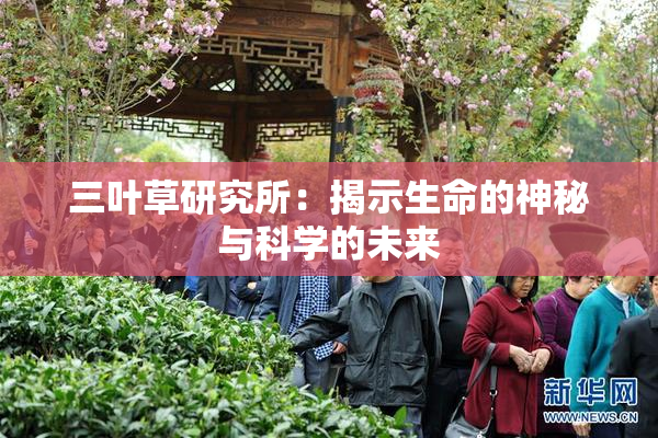 三叶草研究所：揭示生命的神秘与科学的未来