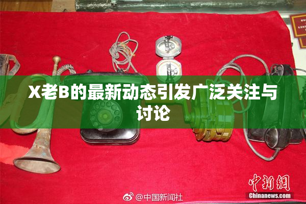 X老B的最新动态引发广泛关注与讨论