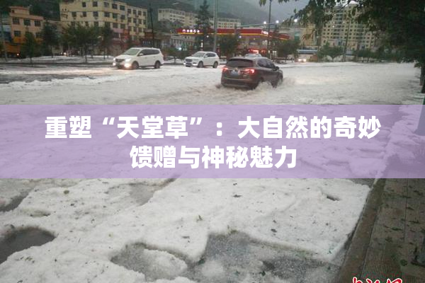 重塑“天堂草”：大自然的奇妙馈赠与神秘魅力