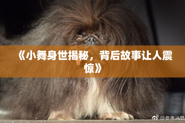 《小舞身世揭秘，背后故事让人震惊》