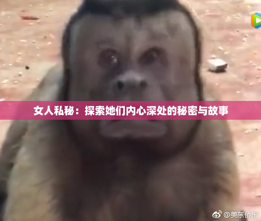 女人私秘：探索她们内心深处的秘密与故事