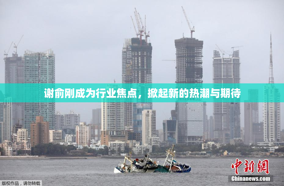 谢俞刚成为行业焦点，掀起新的热潮与期待