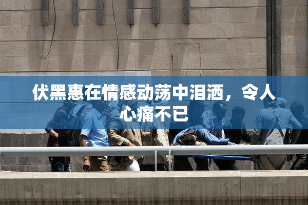 伏黑惠在情感动荡中泪洒，令人心痛不已