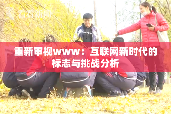 重新审视www：互联网新时代的标志与挑战分析
