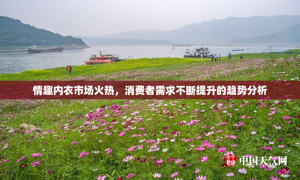 情趣内衣市场火热，消费者需求不断提升的趋势分析