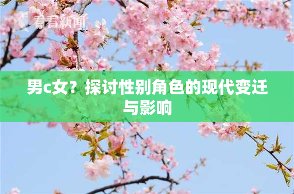 男c女？探讨性别角色的现代变迁与影响