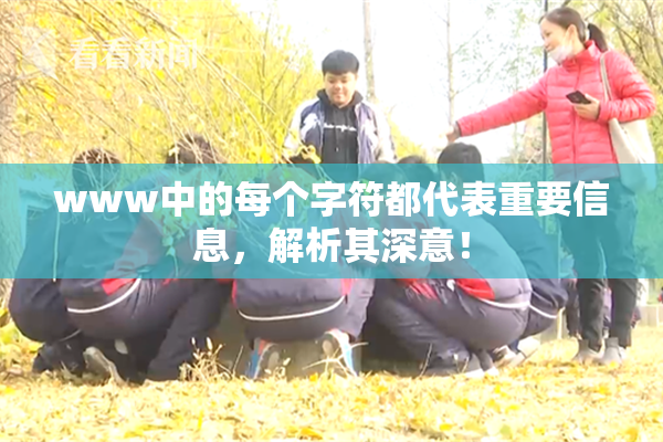 www中的每个字符都代表重要信息，解析其深意！
