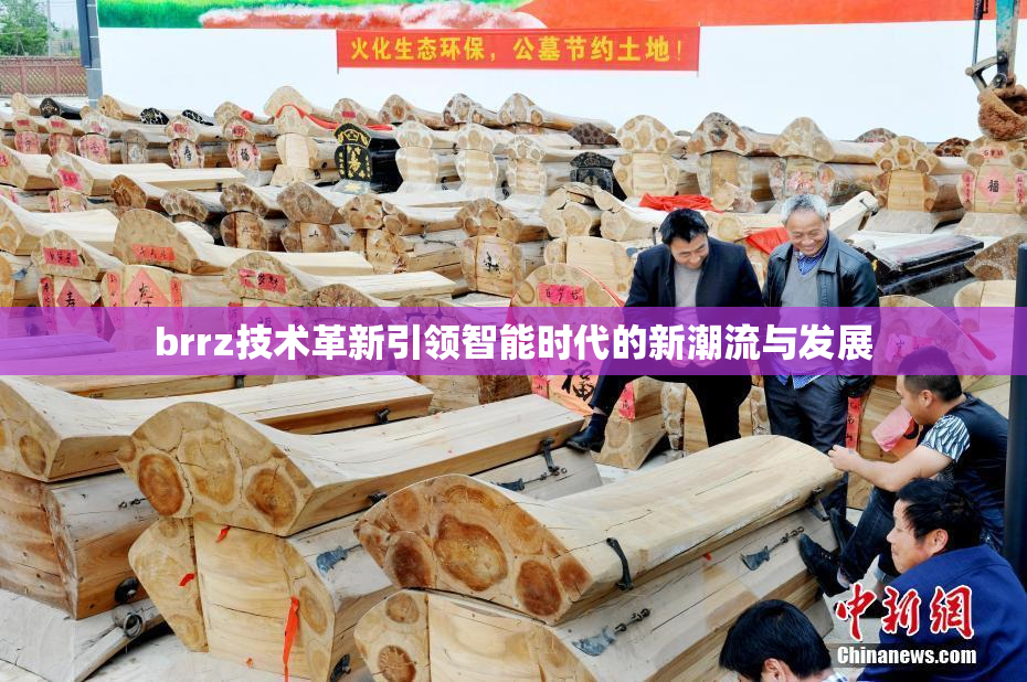 brrz技术革新引领智能时代的新潮流与发展